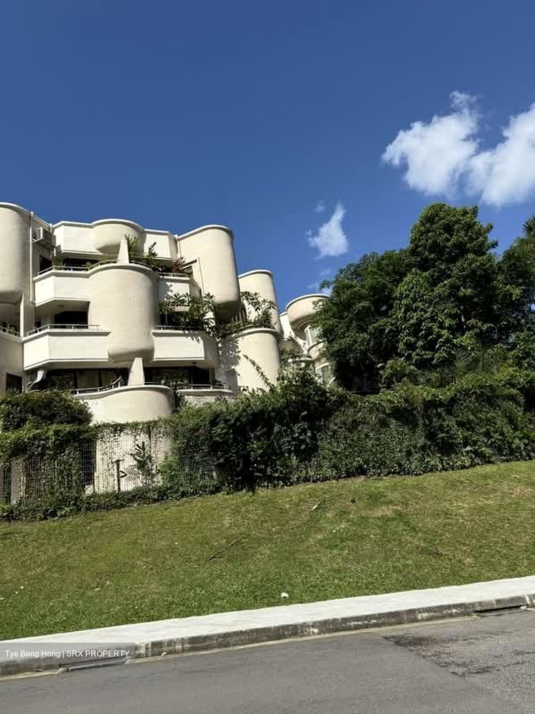 The Balmoral (D10), Condominium #553787051